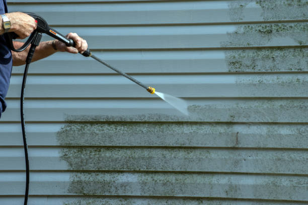 Best Deck Cleaning Services  in Circleville, OH